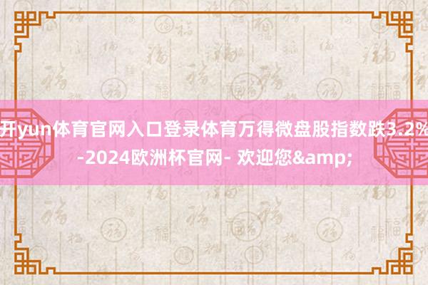 开yun体育官网入口登录体育万得微盘股指数跌3.2%-2024欧洲杯官网- 欢迎您&