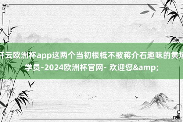 开云欧洲杯app这两个当初根柢不被蒋介石趣味的黄埔学员-2024欧洲杯官网- 欢迎您&