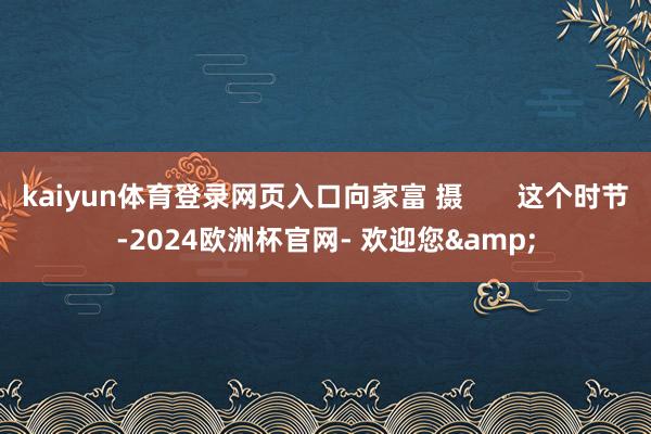 kaiyun体育登录网页入口向家富 摄 这个时节-2024欧洲杯官网- 欢迎您&