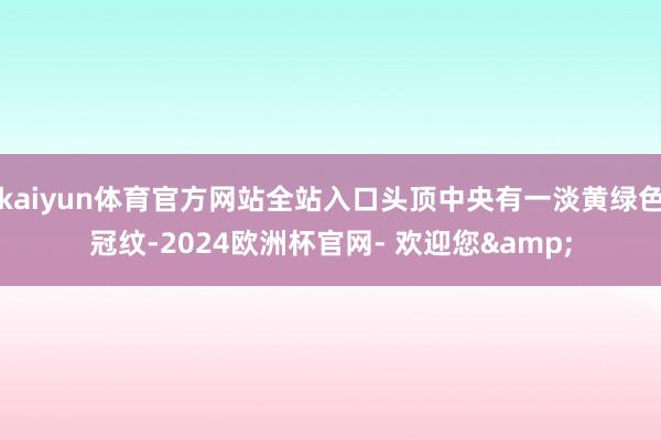 kaiyun体育官方网站全站入口头顶中央有一淡黄绿色冠纹-2024欧洲杯官网- 欢迎您&