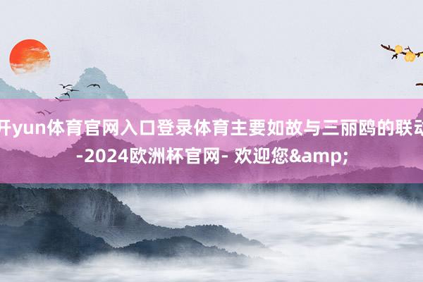 开yun体育官网入口登录体育主要如故与三丽鸥的联动-2024欧洲杯官网- 欢迎您&