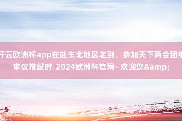 开云欧洲杯app在赴东北地区老到、参加天下两会团组审议推敲时-2024欧洲杯官网- 欢迎您&