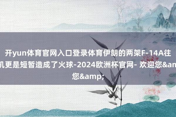 开yun体育官网入口登录体育伊朗的两架F-14A往还机更是短暂造成了火球-2024欧洲杯官网- 欢迎您&