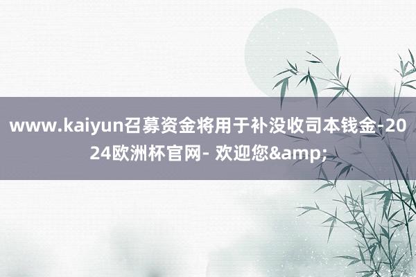 www.kaiyun召募资金将用于补没收司本钱金-2024欧洲杯官网- 欢迎您&