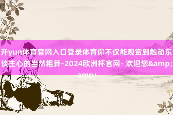 开yun体育官网入口登录体育你不仅能观赏到触动东谈主心的当然粗莽-2024欧洲杯官网- 欢迎您&