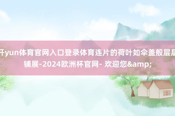 开yun体育官网入口登录体育连片的荷叶如伞盖般层层铺展-2024欧洲杯官网- 欢迎您&