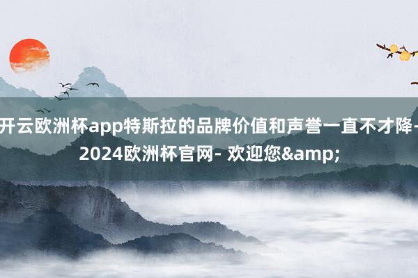 开云欧洲杯app特斯拉的品牌价值和声誉一直不才降-2024欧洲杯官网- 欢迎您&