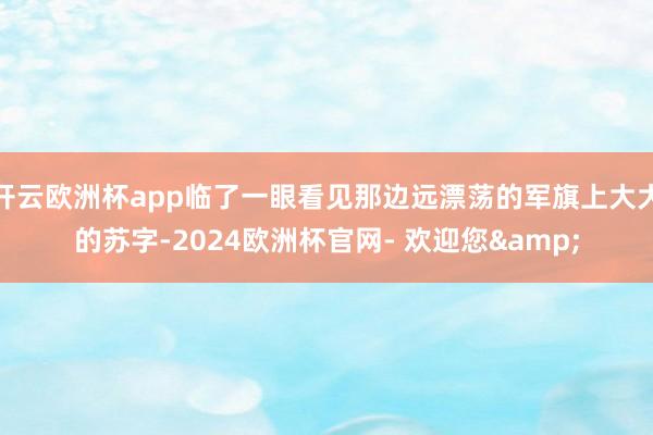 开云欧洲杯app临了一眼看见那边远漂荡的军旗上大大的苏字-2024欧洲杯官网- 欢迎您&
