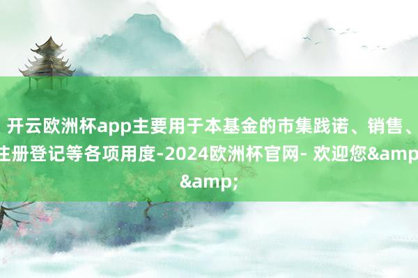 开云欧洲杯app主要用于本基金的市集践诺、销售、注册登记等各项用度-2024欧洲杯官网- 欢迎您&