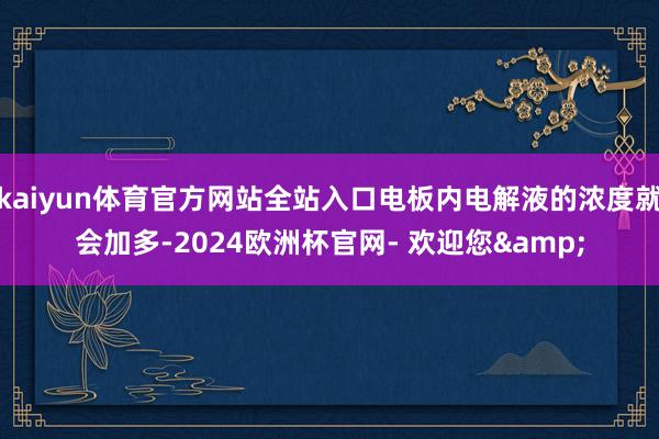 kaiyun体育官方网站全站入口电板内电解液的浓度就会加多-2024欧洲杯官网- 欢迎您&