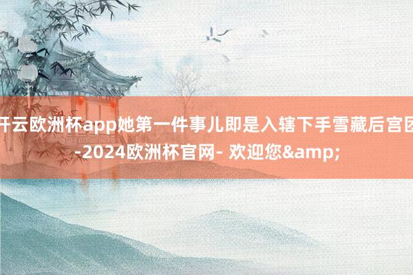 开云欧洲杯app她第一件事儿即是入辖下手雪藏后宫团-2024欧洲杯官网- 欢迎您&