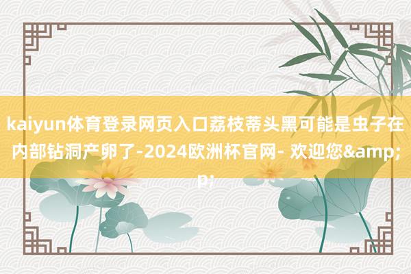 kaiyun体育登录网页入口荔枝蒂头黑可能是虫子在内部钻洞产卵了-2024欧洲杯官网- 欢迎您&