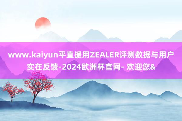 www.kaiyun平直援用ZEALER评测数据与用户实在反馈-2024欧洲杯官网- 欢迎您&