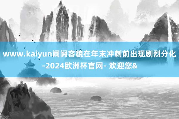 www.kaiyun阛阓容貌在年末冲刺前出现剧烈分化-2024欧洲杯官网- 欢迎您&