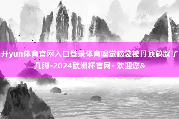 开yun体育官网入口登录体育嗅觉脑袋被丹顶鹤踩了几脚-2024欧洲杯官网- 欢迎您&