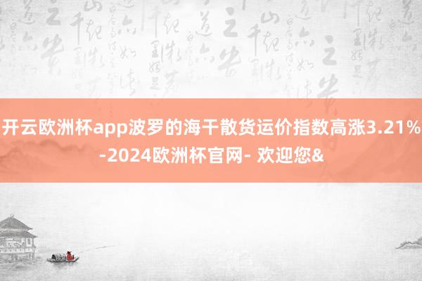开云欧洲杯app波罗的海干散货运价指数高涨3.21%-2024欧洲杯官网- 欢迎您&