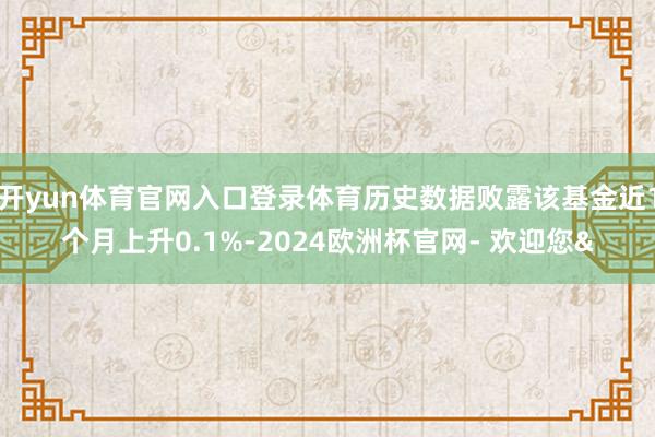 开yun体育官网入口登录体育历史数据败露该基金近1个月上升0.1%-2024欧洲杯官网- 欢迎您&