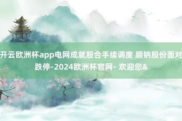 开云欧洲杯app电网成就股合手续调度 顺钠股份面对跌停-20