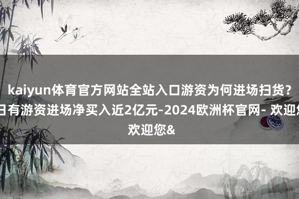 kaiyun体育官方网站全站入口游资为何进场扫货？近日有游资