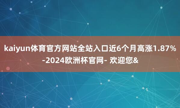 kaiyun体育官方网站全站入口近6个月高涨1.87%-20