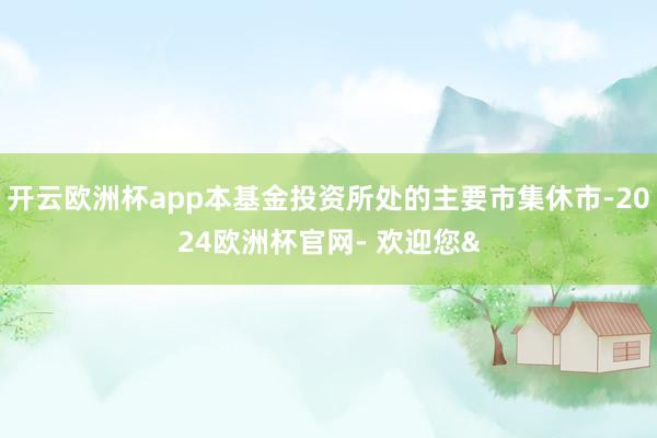 开云欧洲杯app本基金投资所处的主要市集休市-2024欧洲杯