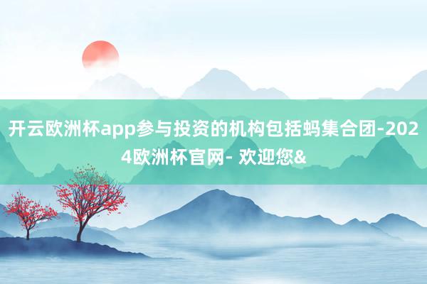 开云欧洲杯app参与投资的机构包括蚂集合团-2024欧洲杯官