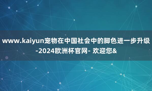 www.kaiyun宠物在中国社会中的脚色进一步升级-202