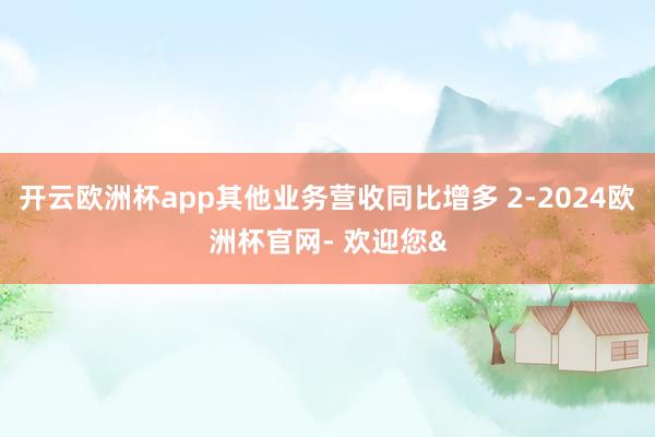 开云欧洲杯app其他业务营收同比增多 2-2024欧洲杯官网- 欢迎您&
