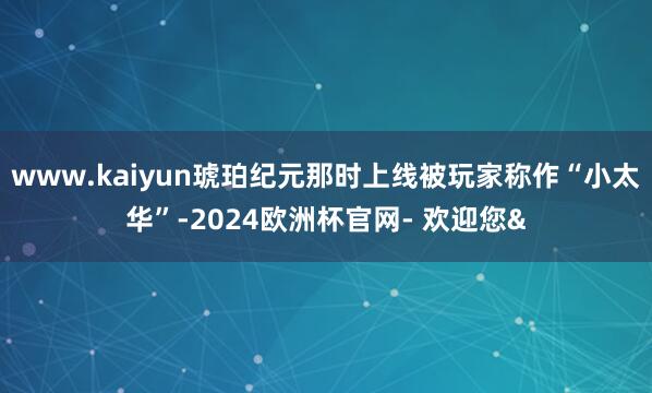www.kaiyun琥珀纪元那时上线被玩家称作“小太华”-2