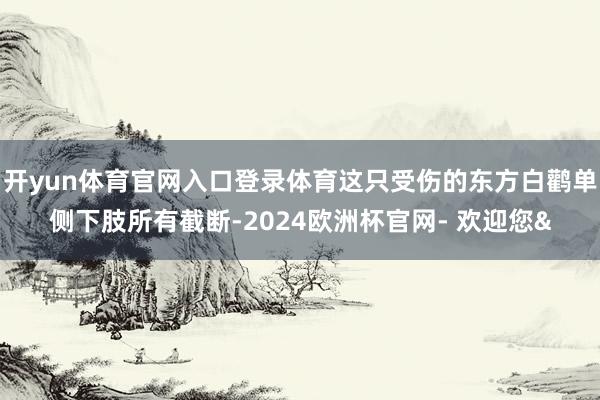 开yun体育官网入口登录体育这只受伤的东方白鹳单侧下肢所有截