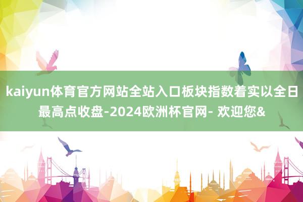 kaiyun体育官方网站全站入口板块指数着实以全日最高点收盘