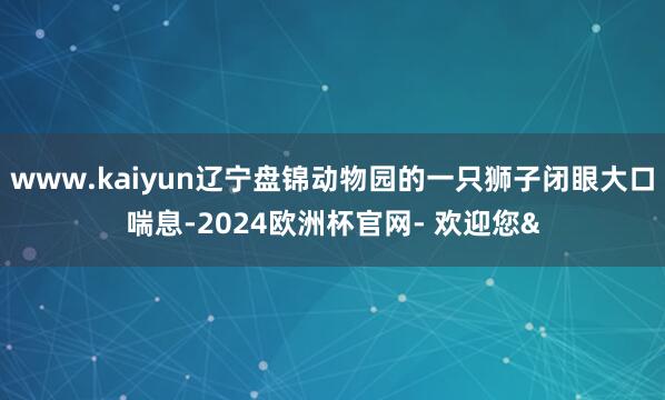 www.kaiyun辽宁盘锦动物园的一只狮子闭眼大口喘息-2