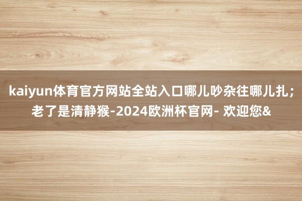 kaiyun体育官方网站全站入口哪儿吵杂往哪儿扎；老了是清静