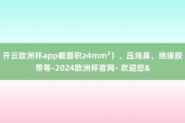 开云欧洲杯app截面积≥4mm²）、压线鼻、绝缘胶带等-20