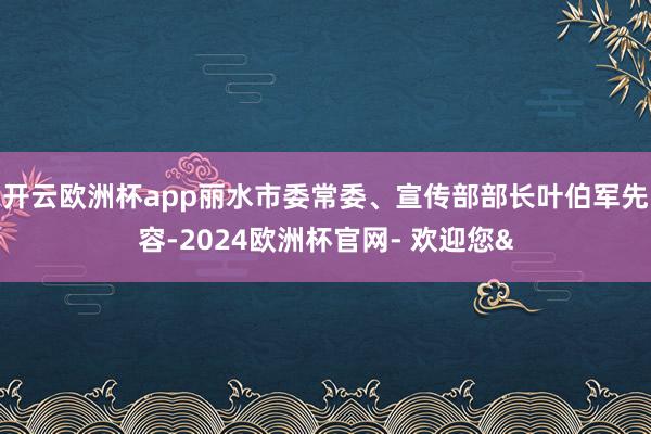 开云欧洲杯app丽水市委常委、宣传部部长叶伯军先容-2024