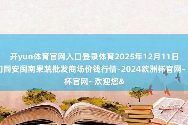 开yun体育官网入口登录体育2025年12月11日福建厦门同