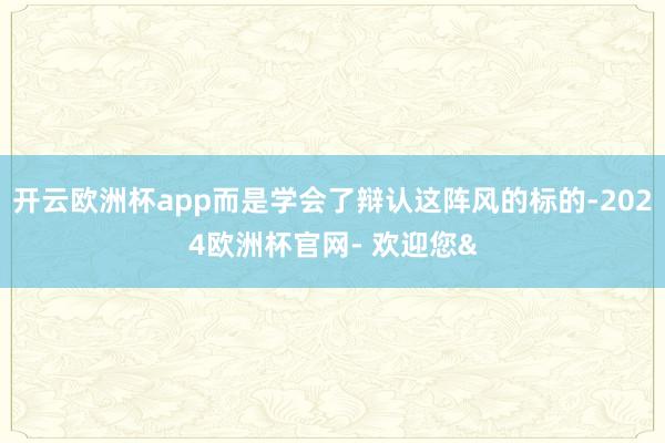 开云欧洲杯app而是学会了辩认这阵风的标的-2024欧洲杯官