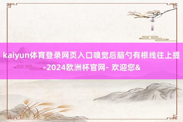 kaiyun体育登录网页入口嗅觉后脑勺有根线往上提-2024